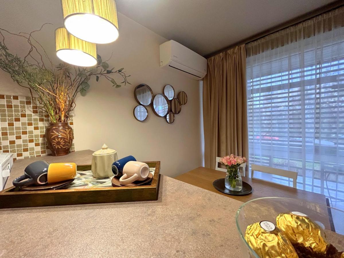 Thea Apartment Тимишоара Экстерьер фото